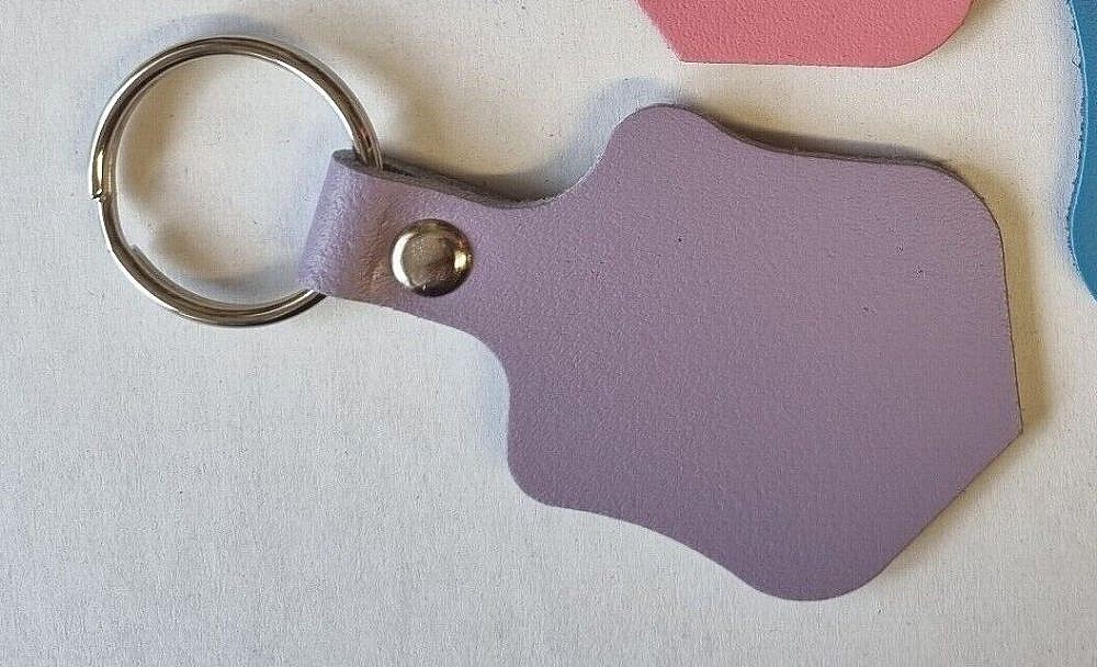 Key Fob - Purple - Shield